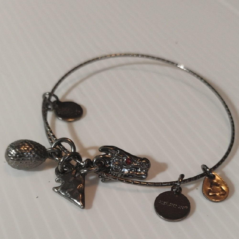 Alex and Ani Game If Throwns Charm Bracelet